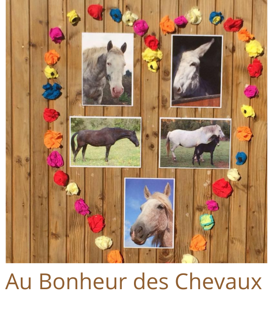 Au Bonheur des Chevaux 