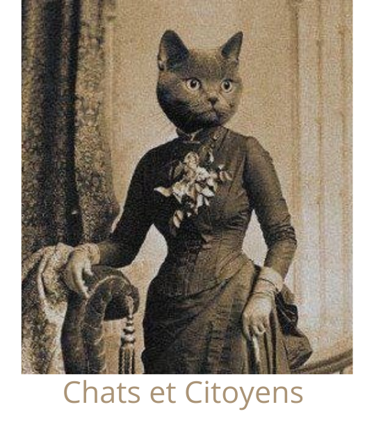 Chats et Citoyens
