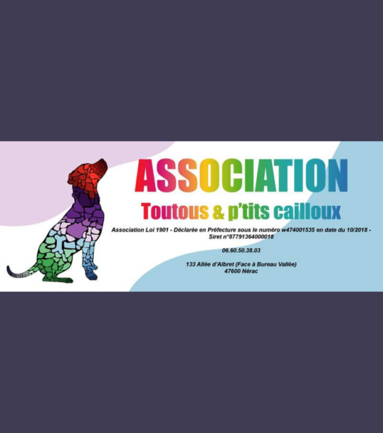 Toutous et P'tits Cailloux 